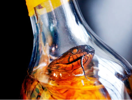 Змея в бутылке